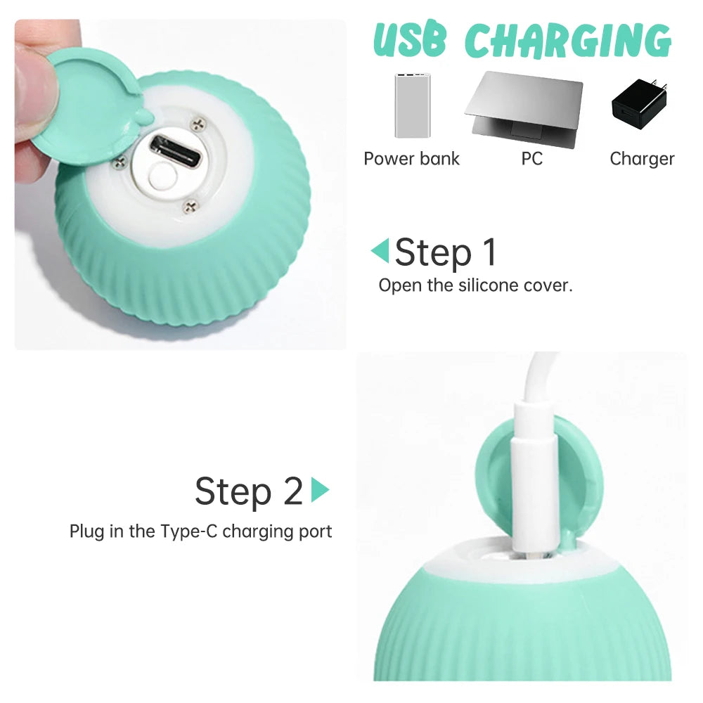 WhiskerRoll – Interactive Electric Cat Ball