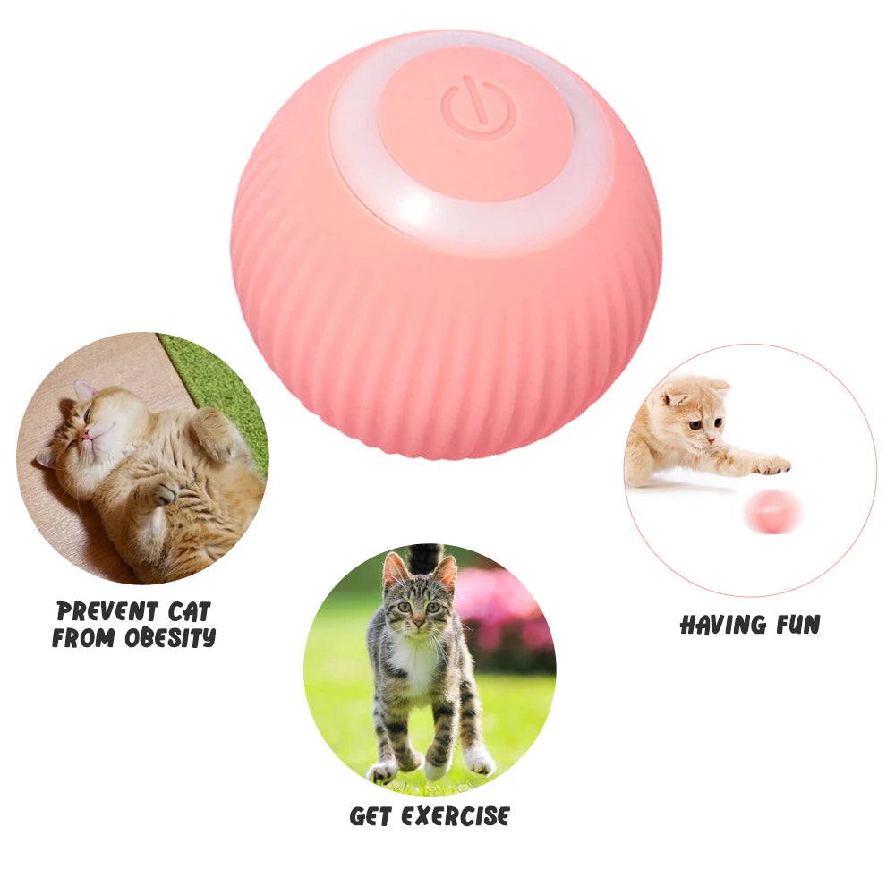 WhiskerRoll – Interactive Electric Cat Ball