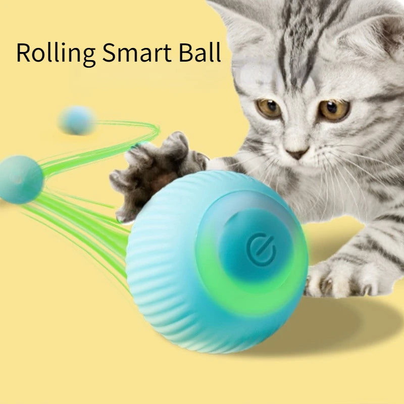 WhiskerRoll – Interactive Electric Cat Ball