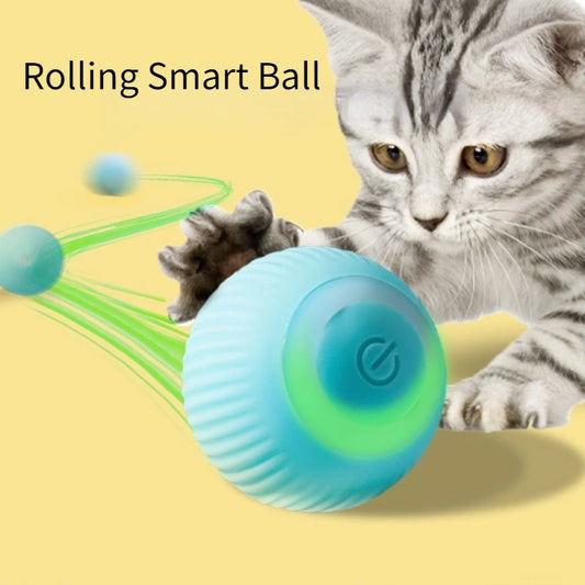 WhiskerRoll – Interactive Electric Cat Ball